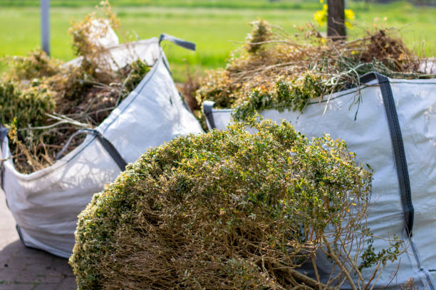 Best Affordable Junk Removal Services  in Lincoln, CA